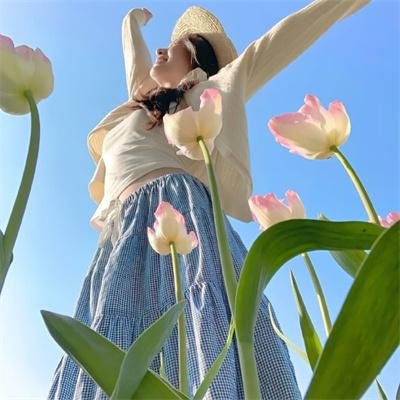 特洛伊奥德赛